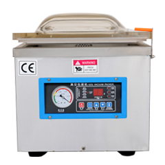 DZ300T Vacuum Packing Machine